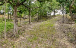 319 Fairway Drive, Willow Park, TX 76087