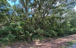 Lot 5, 3+-ac Cty Rd 18, Headland, AL 36345