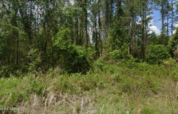 140 EDGEMERE Drive, Georgetown, FL 32139