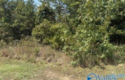 152 County Road 971, Flat Rock, AL 35966