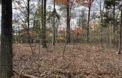 000 Deane Beaver Road, Bear Creek, NC 27207