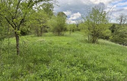 0000 New Columbus Road, Corinth, KY 41010