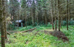 5321 Highlands Drive, Branchport, NY 14418