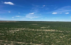 000 Rd R, Saint Francis, KS 67756