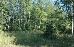 Lot 7 Chaney Coves, Bessemer, MI 49911
