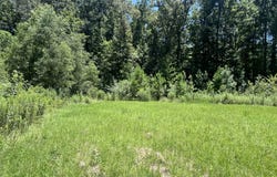 Magnolia Springs Boulevard, Florence, MS 39073