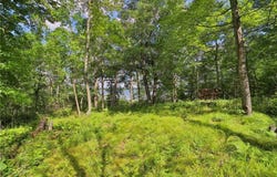 Tbd Pine Mountain Lake Road NW, Backus, MN 56435