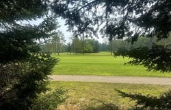 20935 E Riverside Drive lot: 4, Hillman, MI 49746