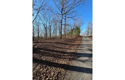 SNOW RD, BIG SANDY, TN 38221