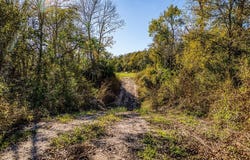 Tract 8 Fieldcrest Ln, Burton, TX 77835