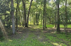 Orchid Lane, OREGON, IL 61061