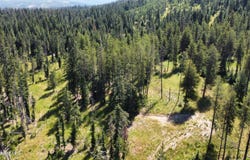 Parcel 10 Green Valley RD, Fernwood, ID 83830