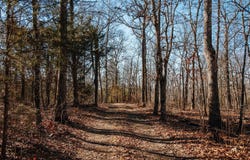 6580 Highway DD, Farmington, MO 63640