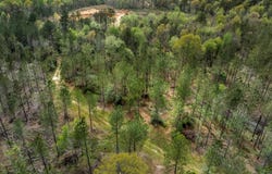 Parcel 3 Stephens Cemetery Rd., Silver Creek, MS 39663