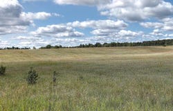 0000 HONOR HIGHWAY, INTERLOCHEN, MI 49643