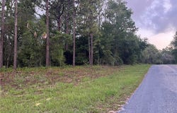 9553 N Travis Drive, Citrus Springs, FL 34434