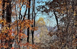 36 54C Ash Branch Circle, HAYESVILLE, NC 28904
