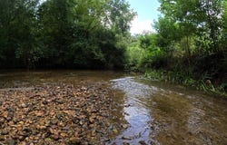1608 Highway 586, Foxworth, MS 39483
