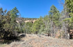 W Elk Drive, Ramah, NM 87321