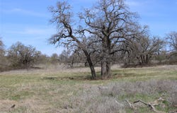 21 AC Erwin, Perrin, TX 78486