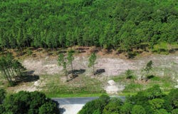 0 Wilbur Pridgen Rd., Harrells, NC 28444