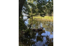 Twin Vista Dr., Many, LA 71449