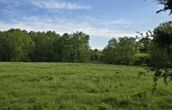State Highway N, Clinton, MO 64735