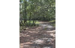 485 Corner Lake Road, Early Branch, SC 29916