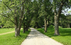 14414 W 167th Street, Homer Glen, IL 60491