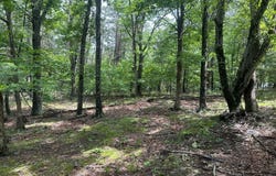 2.23 AC DOE TRAIL, SPRINGFIELD, WV 26763