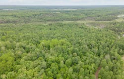 60 A. Wards, Iron River, MI 49935