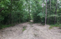 TBD US-190, Point Blank, TX 77634