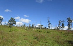 Pahoa, HI 96778