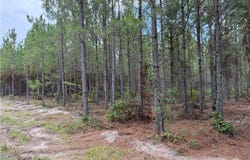 0 (lot 3) Corbitt Road, Manor, GA 31550