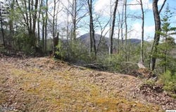 4350 Carolina Cove Way, Pigeon Forge, TN 37863