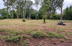 Lot 4 Cherrywood Drive, Guntersville, AL 35976