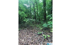 1400 29TH AVENUE lot: 31, HUEYTOWN, AL 35023