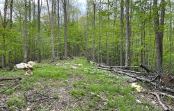 Rt 41 Mill St., Mill Creek, WV 26280
