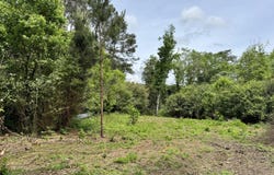 1436 Claxton Avenue, Elba, AL 36323