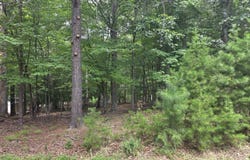 85 LAGUNA RD, PALMYRA, VA 22963