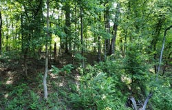 0 Orlea Ln, Tuscaloosa, AL 35475