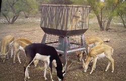 587 Valley Rd, Eldorado, TX 76936