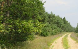 7595 Randolph Way, Mesick, MI 49668