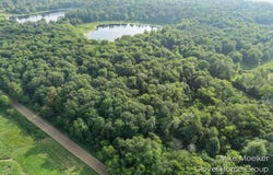 V/L 40 Ac S Brown Road, Sheridan, MI 48884