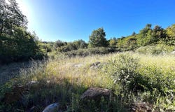 Oak Way, Julian, CA 92036