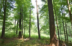 0 24 3/4 Street, Chetek, WI 54728