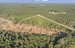 0 Fruit Hill Road, Saluda, SC 29138-0000