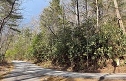 285 Pine Cone Court, Sapphire, NC 28774