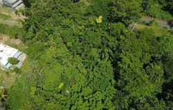 Pr 834 Km 3.9 BO. HATO NUEVO, GUAYNABO, 00969
