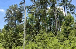 Grand Quiviera Circle, Alford, FL 32420
